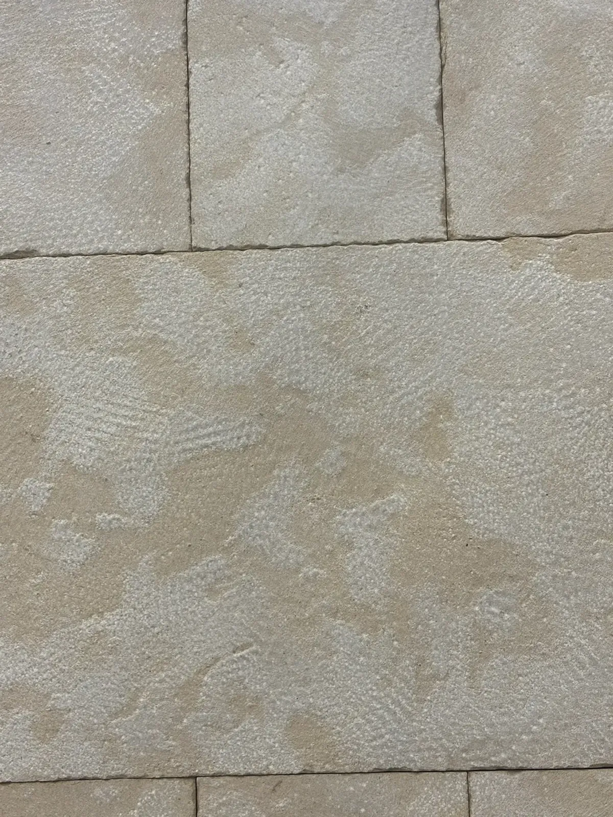 Atlas Beige Rustic Dune